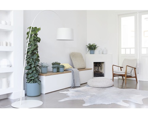 Pièce lumineuse avec plantes d''intérieur, lampadaire arc, banc et tapis