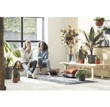 Pièce lumineuse avec plantes d''intérieur, deux femmes assises sur le rebord de la fenêtre
