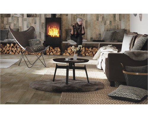 Salon avec poêle à bois, fauteuil, canapé et table basse sur tapis