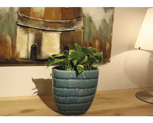 Plante d''intérieur dans un pot sur une commode devant une peinture et une lampe