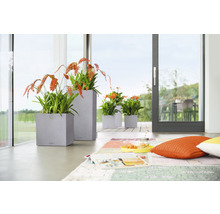 Espace de vie avec des plantes dans des pots devant la porte-fenêtre