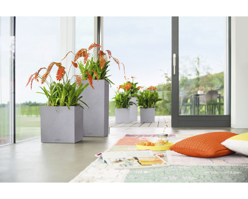 Espace de vie avec des plantes dans des pots devant la porte-fenêtre