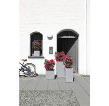 Scène avec trois jardinières grises avec des fleurs devant une façade blanche