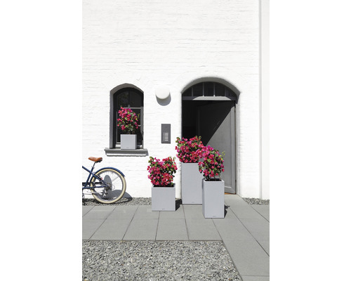 Scène avec trois jardinières grises avec des fleurs devant une façade blanche