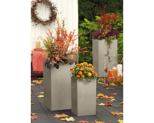 Deux bacs à fleurs en plastique plantés dans le jardin.