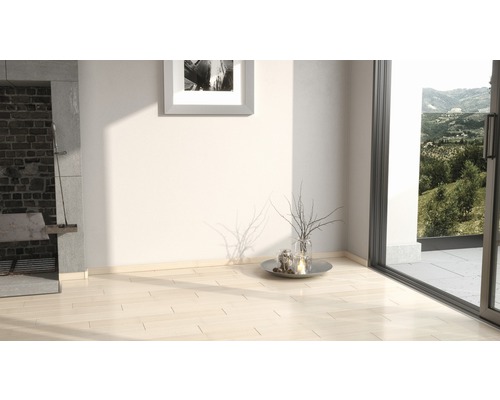Pièce lumineuse avec parquet, cheminée et porte-fenêtre