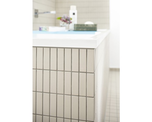 Vue détaillée d''une salle de bains avec des carreaux muraux rectangulaires.