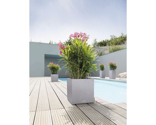 Quadratische Pflanzgefäße mit blühenden Pflanzen neben einem Pool auf einer Holzterrasse