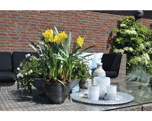 Table de jardin décorée avec des jonquilles en pot, entourée de décorations et de mobilier de jardin