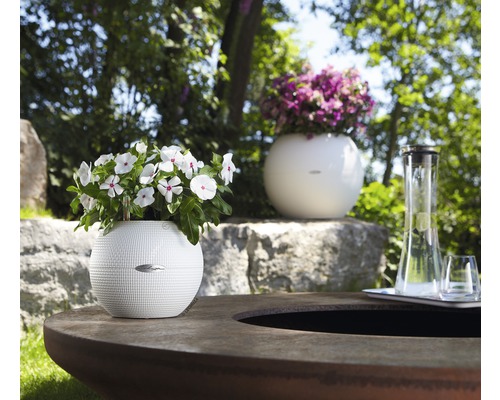 Szene mit Lechuza Blumentöpfen auf einem Tisch im Freien.