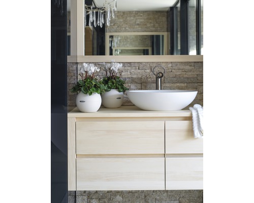 Badezimmer mit Waschtisch, Aufsatzwaschbecken, Armatur und Dekoration