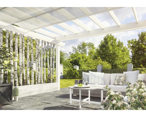 Terrasse mit Pergola, Birkenstämmen als Sichtschutz und Gartenmöbeln