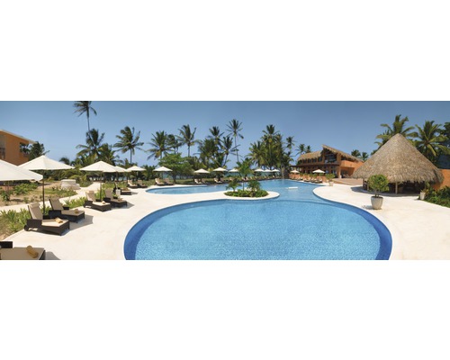 Aussenbereich mit Pool, Liegestühlen und Palmen