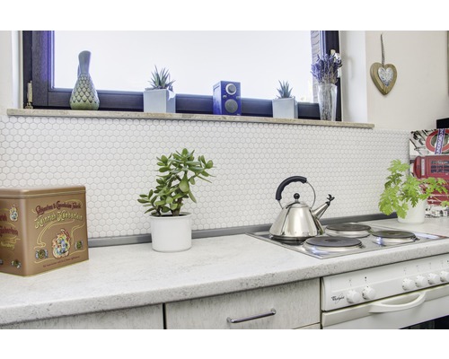 Küchenszene mit Elektroherd, Teekessel, Fliesen und Zimmerpflanzen.