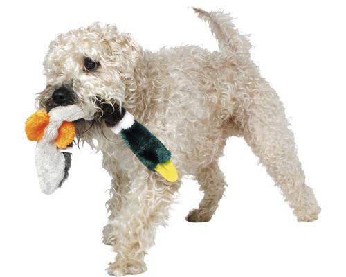 Hond dréit Spillsaachenent a sengem Maul