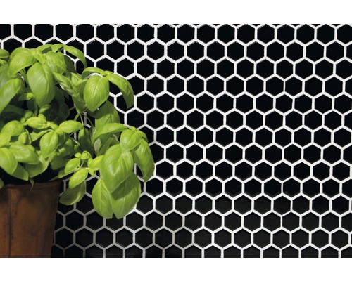 Wandbild mit schwarzen Sechseckfliesen und Topfpflanze