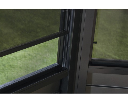 Detailansicht eines Fensterrahmens mit Insektenschutzgitter