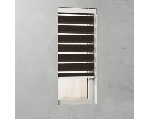 Fenêtre avec store double pour contrôle de la lumière