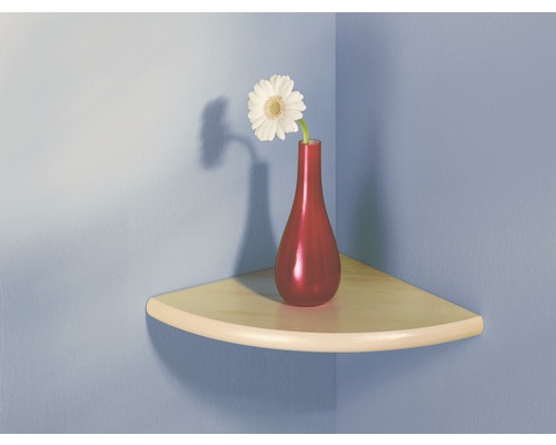 Étagère d''angle avec vase à fleurs et fleur pour montage mural