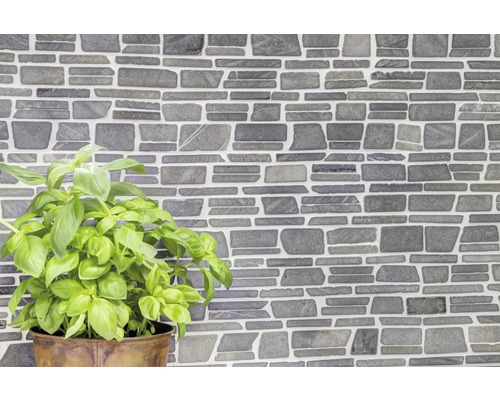 Wandfliesen in Steinoptik mit Basilikumpflanze