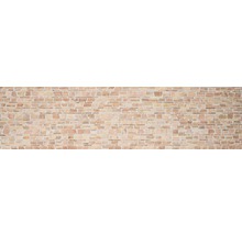 Wandverkleidung mit Steinoptik für den Innen- und Aussenbereich