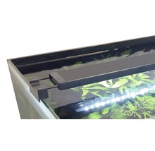 Aquarium mit Aquariumleuchte