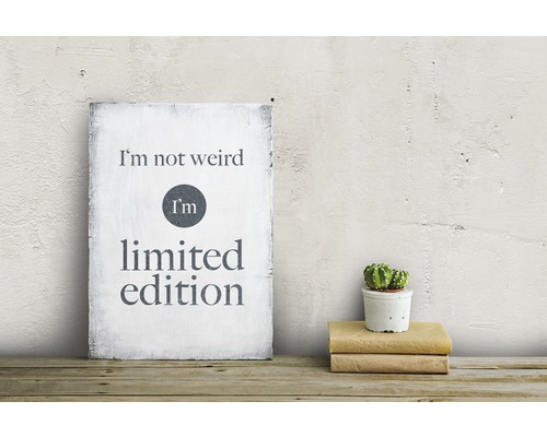 Dekoratives Schild mit dem Spruch Ich bin nicht komisch, ich bin eine limitierte Auflage