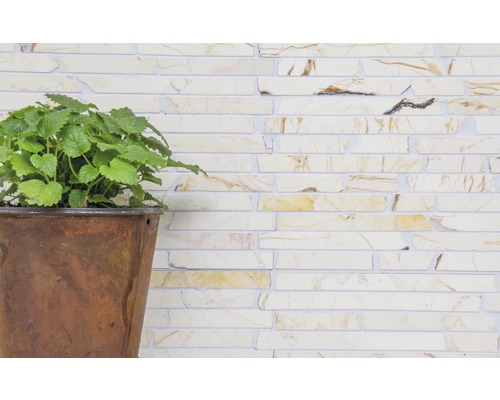 Plante dans un pot devant un mur de briques