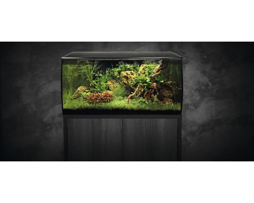 Aquarium avec meuble bas, planté de plantes aquatiques et de pierres