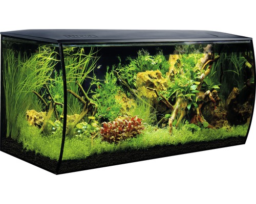 Aquarium Fluval Flex 123 l avec éclairage LED, filtre, support en mousse sans meuble bas, noir