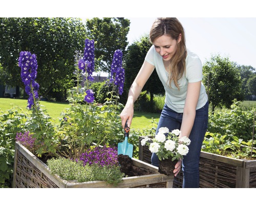 Une femme plante des fleurs dans un potager surélevé dans le jardin.