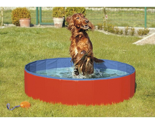 Piscine pour chien Karlie Doggy Pool 80x20 cm rouge-bleu