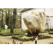 Scène de jardin avec plante dans un sac de protection hivernale