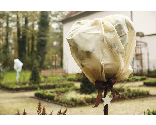 Scène de jardin avec plante dans un sac de protection hivernale