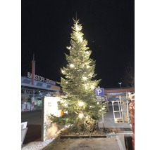 Sapin de Noël illuminé devant le centre de matériaux de construction