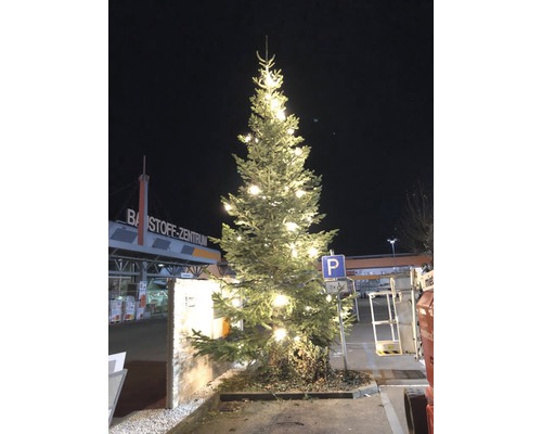 Sapin de Noël illuminé devant le centre de matériaux de construction