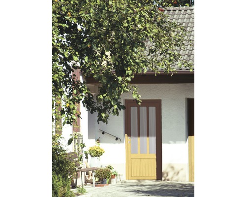 Porte d''entrée avec inserts en verre sur un bâtiment avec jardin