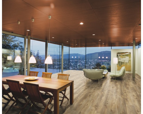 Heller Raum mit Esstisch, Sitzgruppe und grossen Fensterfronten