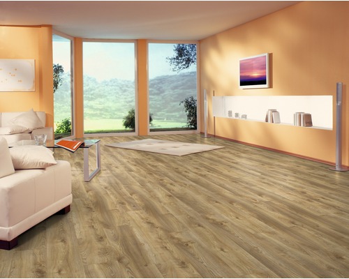 Wohnzimmer mit Laminatboden, Sofa und Fensterfront