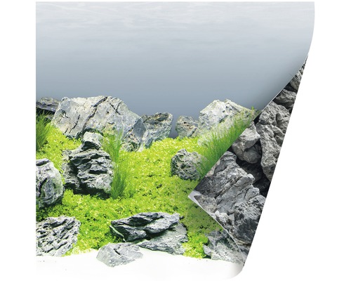 Fond d''aquarium avec rochers et plantes