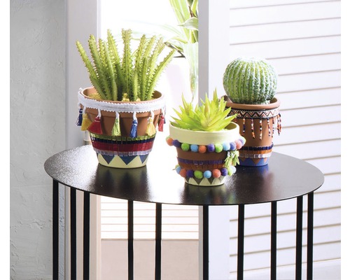 Dekorative Blumentöpfe mit verschiedenen Pflanzen auf einem Tisch