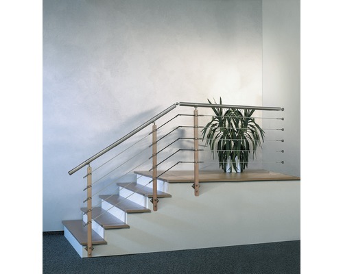 Escalier avec rampe en acier inoxydable et plante
