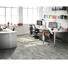Büro mit Schreibtischen, Bürostühlen, Computern und Regalen