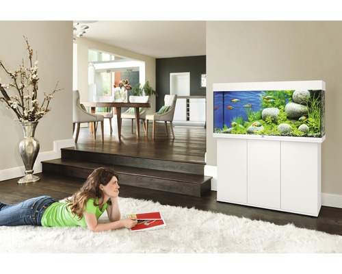 Salon avec aquarium sur meuble bas, poissons et plantes aquatiques