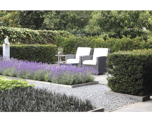 Espace de jardin aménagé avec allée de gravier, lavande, mobilier de jardin et haies