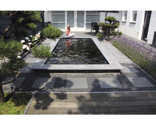 Jardin avec bassin, pierres et plantations.