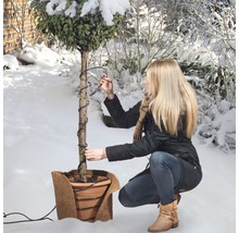 Une femme enroule un câble chauffant autour d''un arbre dans le jardin d''hiver.