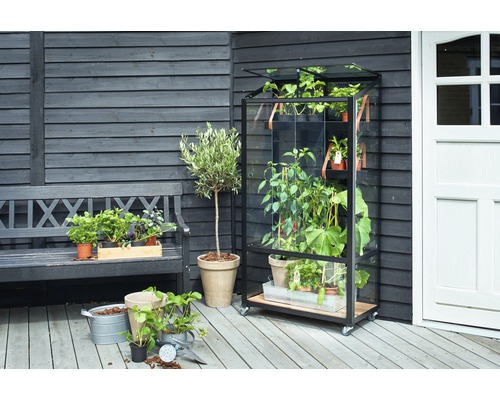 Gewächshaus mit Pflanzen auf einer Terrasse neben einer Bank.