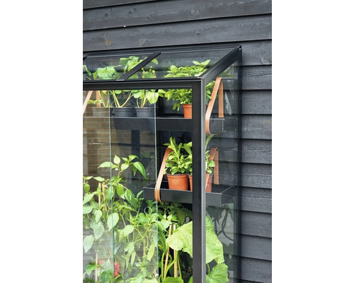 Detailansicht eines Gewächshauses mit Pflanzen auf Regalen