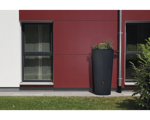 Dunkle Regentonne mit Pflanzen neben einem Fallrohr an einer Hauswand.